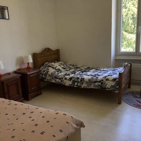 Chambres Individuelles Avec Partie Commune Ou Logement Entier Si Disponible Via Rhona Vulbens Ngoại thất bức ảnh